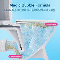 Nettoyant en mousse jetable en forme de poudre pour toilettes pour la décontamination et la désodorisation des taches d'urine vente en gros