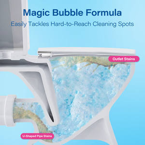 Wholesale Disposable <b>Foam</b> Toilet <b>Cleaner</b> Powder Shape for Urine Stain Decontamination and Deodorization - Product Image 4