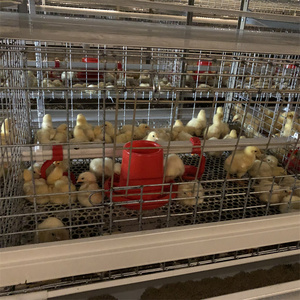 5000 chim gà thịt gia cầm trang trại tự động pin H khung gà lồng Điều kiện Mới nhúng nóng mạ kẽm lớp thép lồng - Product Image 2