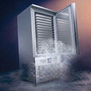 Congélateur coffre de boulangerie robuste à 10 plateaux, congélation rapide, refroidissement par air, basse température -36 à -40°C (Usage commercial) - Product Image 4