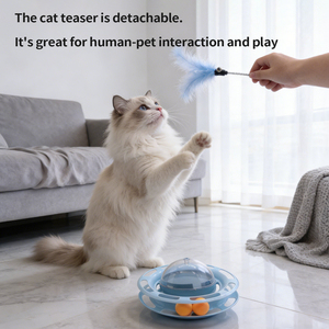Bâton de chatouillage pour chat avec plume, baguette interactive avec un oscillateur et un disque rotatif pour chaton - Product Image 5