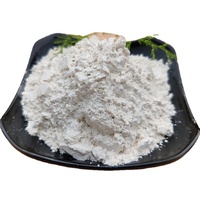 Sio2 Nano poudre de microsilice, vapeur de Quartz de silice pour caoutchouc adhésif puissant oxyde de silice Micro fin-400 électrode blanc, gris 99%