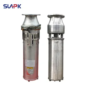 Stainless Steel Big Fountain Water Pump Centrifugal Submersible Water Pump For Agriculture Irrigation