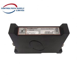 Monitor de Entrada Sísmica Bently Nevada 1701/25 FieldMonitor, el Más Vendido - Product Image 4