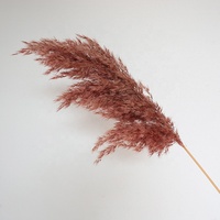 Buket bunga kering Reed alami warna asli rumput Pampas Reed kecil Diy bunga abadi dekorasi pernikahan rumput Pampas