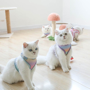 SinSky Manufacturer New Design Rainbow <strong>Cat</strong> Dog <strong>Harness</strong> Set Hard Wearing Terylene Walking Dog <strong>Cat</strong> <strong>Harness</strong> and Leash - Product Image 4
