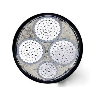 <span class=keywords><strong>Cable</strong></span> de Alimentación de Baja Tensión de 3/4/5 Núcleos, <span class=keywords><strong>10mm</strong></span> 16mm 25mm 35mm 50mm 0.6kv, de <span class=keywords><strong>Aluminio</strong></span>, Sin Armadura/con Armadura - Product Image 3