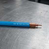 Cable de Construcción TWU con Conductor de Cobre, Aislamiento de PVC, IP40, 600V, 75, para Entierro Directo en Húmedo/Seco, para Construcción Subterránea en Canadá