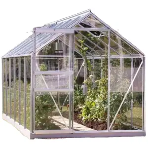 Domestic garden greenhouse polycarbonate aluminum frame structure garden greenhouse