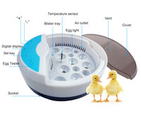 Perroquets numériques automatiques HHD pour machine à couver au détail Canard Poulet 9 Mini couveuse à œufs