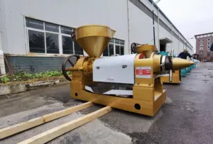 Máquina profesional de prensado de aceite de girasol, 10 toneladas, YZYX140GX