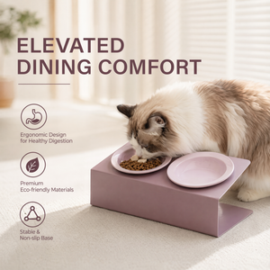 Double gamelle en céramique pour chat et <span class=keywords><strong>chien</strong></span>, protection de la colonne cervicale, écologique, design surélevé et incliné, gamelles et mangeoires pour animaux de compagnie - Product Image 1