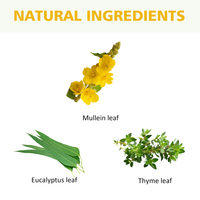 Thé aux herbes biologiques OEM pour la résistance respiratoire, détoxification pulmonaire, molène, thym, thé pour respirer facilement