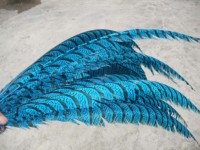Disfraces de Carnaval Disfraces de Samba Pluma de cola de faisán de cebra