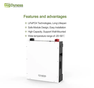 Paquete de Baterías de Litio-Ion Dynes 6000 Cycle para Almacenamiento de Energía en el Hogar, Lifepo4, <span class=keywords><strong>Dyness</strong></span> A48100 48V 100ah con <span class=keywords><strong>BMS</strong></span> Inteligente - Product Image 3