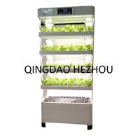 Système hydroponique NFT à LED contrôlé automatiquement HEZHOU HZ-IM3 pour légumes et fleurs - Écologique