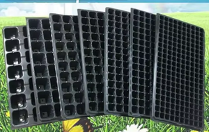 Machine <span class=keywords><strong>de</strong></span> semis automatique pour bacs <span class=keywords><strong>de</strong></span> pépinière, semoir pneumatique <span class=keywords><strong>de</strong></span> précision pour bacs <span class=keywords><strong>de</strong></span> semis, machine pour bacs <span class=keywords><strong>de</strong></span> semis <span class=keywords><strong>de</strong></span> tomates/piments/laitues - Product Image 5