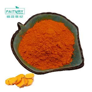 Atacado Bulk 100% Pure Turmeric Extract Rhizoma Pure Curcuma Orgânica 95%