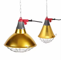 Lampe chauffante infrarouge 110V-240V de haute qualité à prix d'usine, 175W/250W, équipement d'élevage