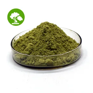 Wholesale Price Health Product Moringa Leaf Powder 99% moringa extract