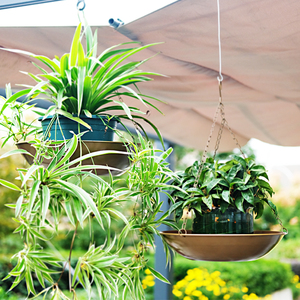 Plateau de <span class=keywords><strong>fleurs</strong></span> en métal suspendu, décoration de maison et de jardin, Pot de <span class=keywords><strong>fleurs</strong></span> doré pour culture de plantes d'intérieur et d'extérieur - Product Image 5