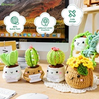 Adultes personnalisés chauds tous les âges débutants leçons vidéo faciles plantes en pot succulentes famille accessoires fil Crochet Kit