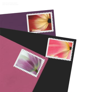 Estampillas Postales, Etiquetas de Impresión, Originales Individuales, 20 Estampillas Conmemorativas 2023, Flores de Tulipán, Papel, Estampillas Postales Americanas - Product Image 1