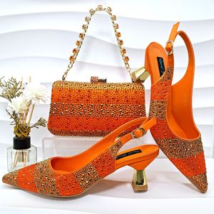 Conjunto de Zapatos y Bolso de Mujer con Estampado Animal Metálico, Impermeables, de Punta, Sexys, de Moda Explosiva - ¡Lanzamiento de una Pieza! - Product Image 1