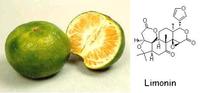 HONGDA Supply CAS 1180-71-8 Extrait de graines de citron en poudre 98% Limonine