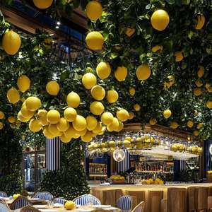 ต้นมะนาวปลอม QQ324 ขายดี ตกแต่งสไตล์อิตาลี เหมาะสำหรับตกแต่งเพดานโรงแรม - Product Image 4