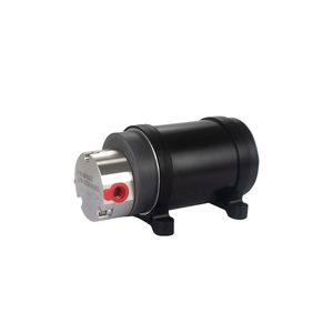 中国メーカーミニチュアオイルシールヘリカルギアポンプ2.5L/Minフロー30W DC24Vモーターマイクロ流体計量用量クリーンウォーター - Product Image 1