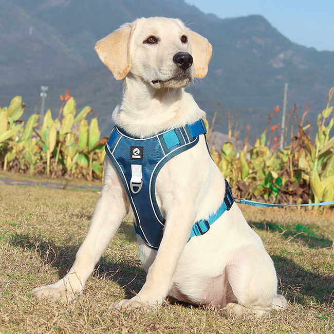 Strong Durable Reflective Oxford Fabric Training Pet Harness Safe Adjustable Heavy Duty Dog Harness