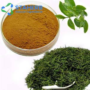 Chiết xuất trà xanh cianidanol <span class=keywords><strong>polyphenol</strong></span> EGCG Camellia Sinensis 98% hplc - Product Image 2
