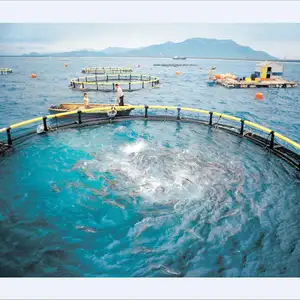 Jaring Ikan Laut Dalam Kandang Pertanian