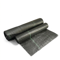 Toile de paillage agricole durable en tissu tissé PP pour le contrôle des adventices et la protection paysagère, idéale pour les jardins et serres
