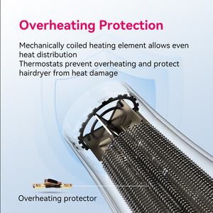 Secador de Pelo Profesional FirePhoenix 6500S OEM ODM, 2300W, Logotipo y Color Personalizables, Secador de Salón, Directo de Fábrica - Product Image 4