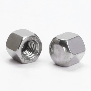 Écrou à tête hexagonale à profil bas en acier inoxydable 304, écrou aveugle, M3 M4 M5 M6 M12 M14 M16, métrique DIN917 - Product Image 2