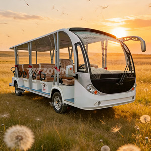 Navette électrique de type abri ZOWN pour visites touristiques, à performance stable, pour village de vacances - Product Image 3