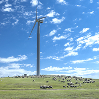 Vente d'usine, système hors réseau pour usage domestique, éolienne 500 kW, générateur d'énergie éolienne