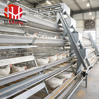 Cage à poules de type A à haute durabilité, en treillis métallique galvanisé antirouille, équipement pour poulailler, machine de collecte automatique des œufs