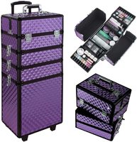 Chariot de maquillage professionnel en aluminium, valise à cosmétiques, chariot pour esthéticienne, artiste, voyage, boîte à bijoux cosmétique
