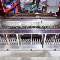 LIENM Offre Spéciale Équipement Automatique de Remplissage par Soufflage pour Ampoules et Flacons en Plastique, Haute Productivité, Pompe en Acier Inoxydable pour Sérum Cosmétique