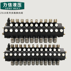 Vanne directionnelle multi-voies série ZS10, pièces de machines hydrauliques, vanne manuelle, état neuf - Product Image 1