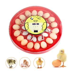 自動卵回転付き30卵インキュベーター、湿度と温度で鶏卵を孵化させるためのミニデジタルインキュベーター