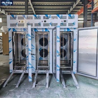 Commerciële snelvriesinstallatie met blastfreezer, 5 tot 45 GN 1/1 bakken, 304 roestvrij staal, snelvriesapparatuur voor voedingsfabrieken