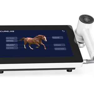 Thérapie laser de classe 4 pour vétérinaire chien chat vétérinaire Animal cheval thérapie laser vétérinaire pour le soulagement de la douleur - Product Image 1