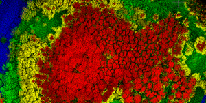 Système de numérisation LiDAR pour drones, haute précision, monté sur drones, solution de cartographie et d'arpentage - Product Image 4