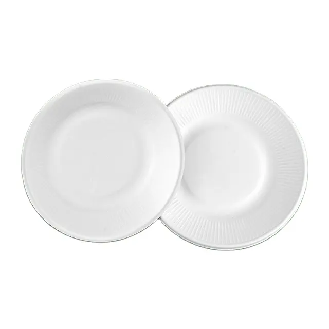 Eco-Friendly Free Sample Multi Specification Food Grade Paper Packaging Take-away Bagasse Plate Set