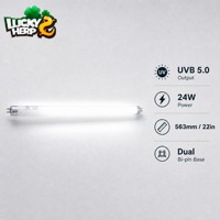 LuckyHerp T5 24W UVB5.0 Lampe UVB Spirale en Verre pour Reptiles Écologique Économie d'Énergie 22 pouces 7000-8000K 8000 heures CRI