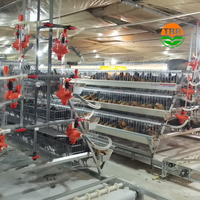 Un type 96/120/128/160 oiseaux cage de couche de poulet équipement automatisé d'alimentation des animaux pour les poules pondeuses
